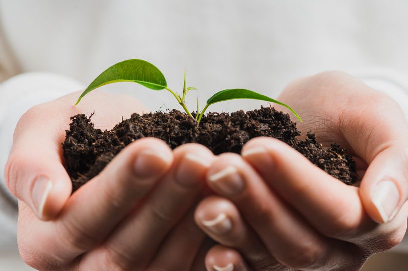 Comprometidos con el medio ambiente
